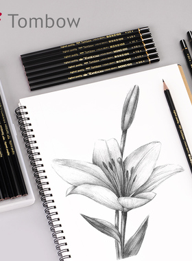日本TOMBOW蜻蜓MONO100高级木杆铅笔美术生素描考试涂卡进口文具
