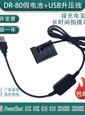 NB-10L假电池适用佳能PowerShotG1X G3X G15 G16 SX40HS充电宝USB
