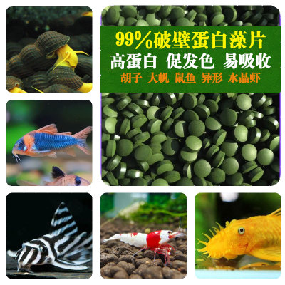 小球藻片鱼食鼠鱼胡子大帆异型底栖鱼饲料苏螺水晶虾苏虾粮开口粮