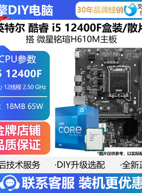微星PRO H610M-E/-S WIFI D4/铭瑄H610M-R主板搭12100F/12400F