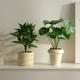 仿真植物北欧装 饰小盆栽办公室客厅桌面室内盆景摆件仿生假花绿植