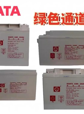 ATA绿色通道蓄电池LC-R1224 12V12AH17A38A65A100AH机房UPS直流屏
