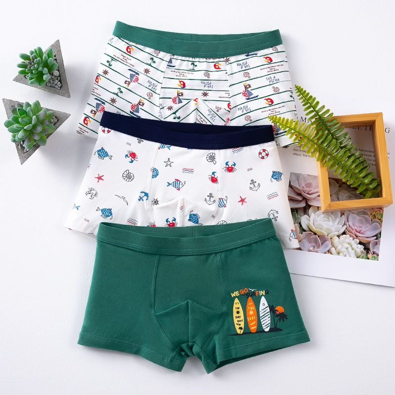 小孩全棉青少年三角男童内裤