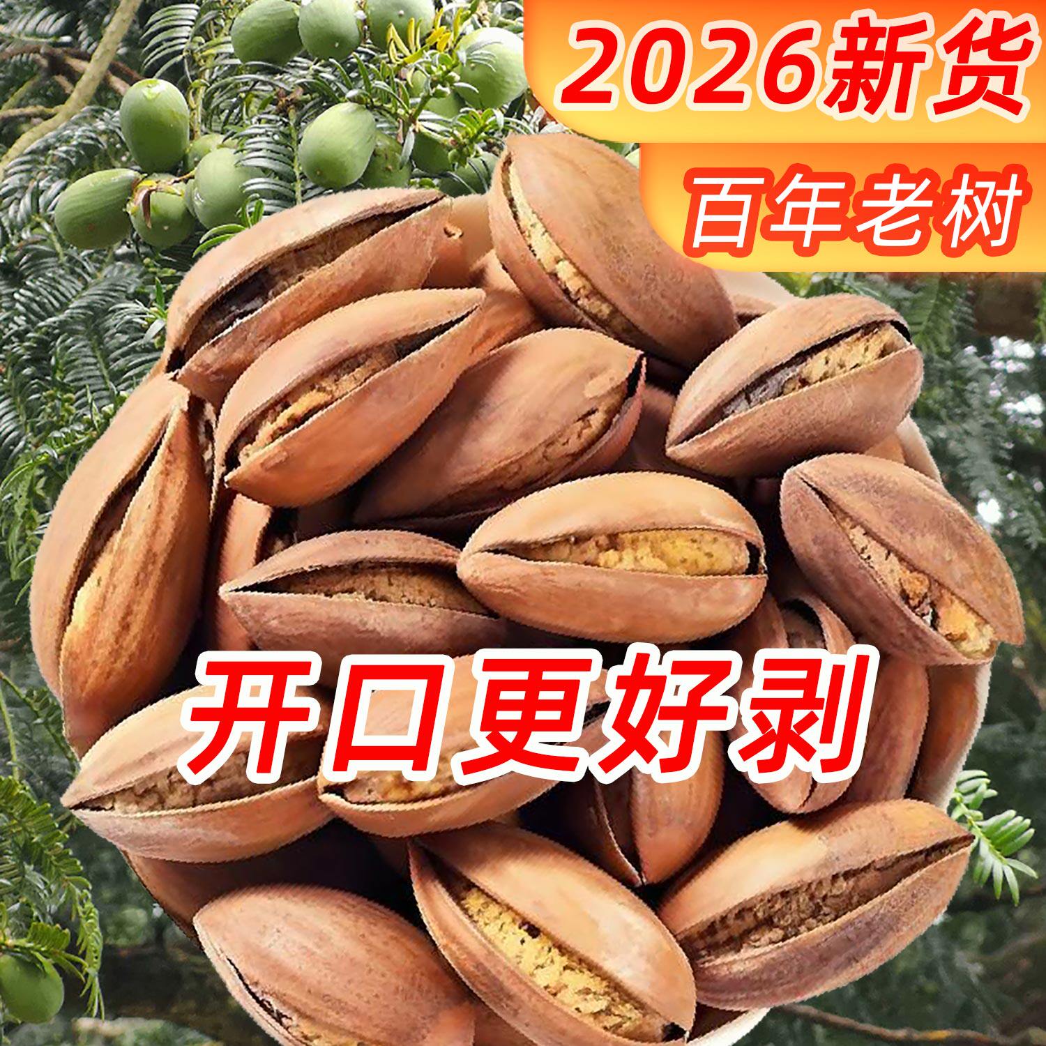 精品开口香榧子2026新货老树香妃浙江诸暨枫桥特产坚果礼盒香菲子