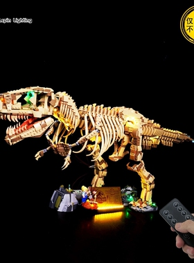 兼容乐高76968恐龙化石霸王龙积木led灯饰MOC灯光改装diy灯组