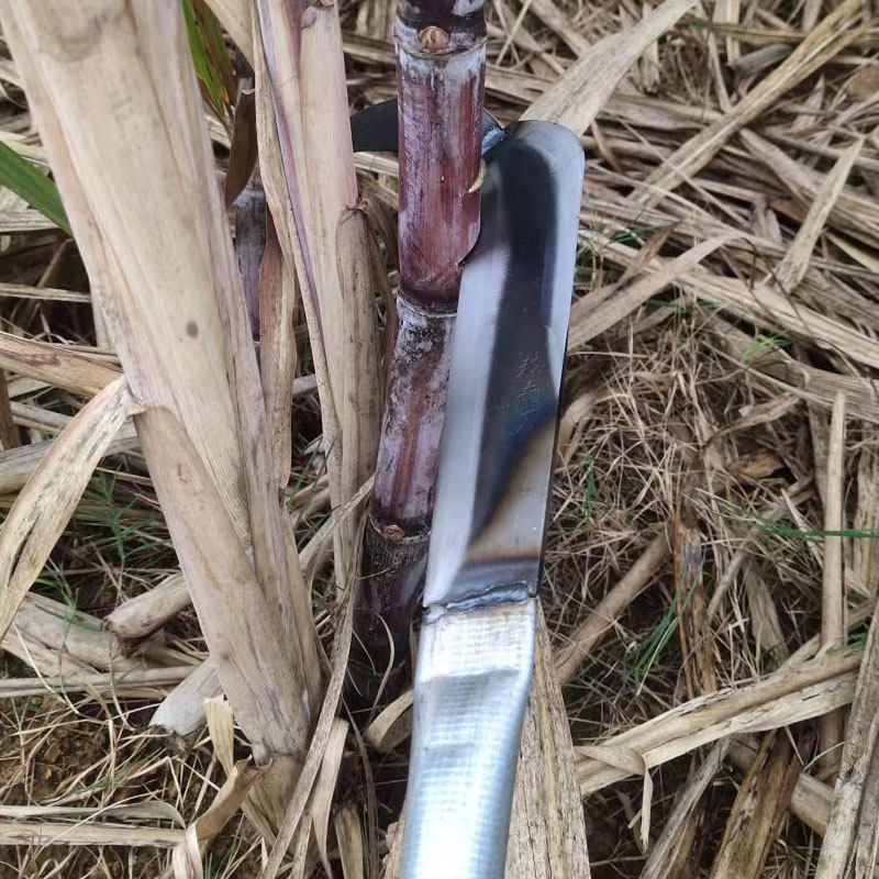 新款多功能甘蔗刀砍甘蔗神器工具三用甘蔗剥叶镰刀轻便利甘蔗专用