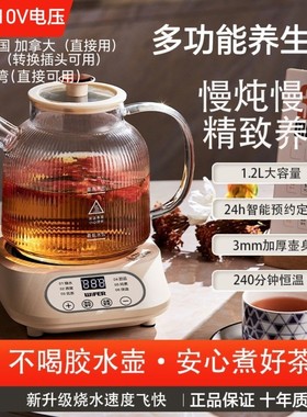 跨境110V养生壶小型玻璃煮茶器烧水壶花茶壶中国台湾美国加拿大
