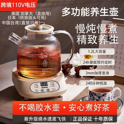 跨境110V养生壶小型玻璃煮茶器烧水壶花茶壶中国台湾美国加拿大