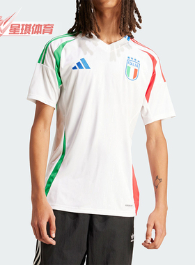 Adidas/阿迪达斯正品FIGC A JSY男士足球运动短袖球衣IN0656