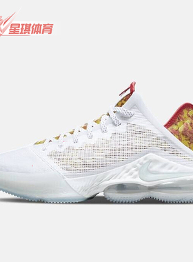 Nike/耐克正品LeBron 19 LBJ詹姆斯男士实战篮球鞋DQ8343-100