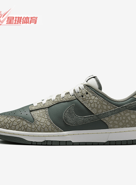 Nike/耐克正品 Dunk Low 男士复古低帮休闲板鞋HF4878-053