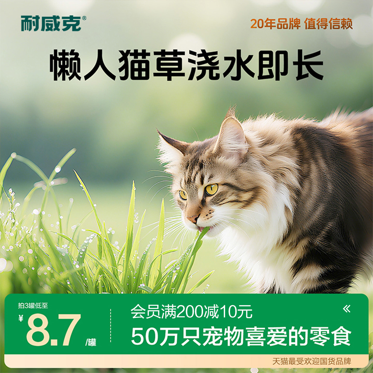 耐威克猫草种子水培猫薄荷零食罐头除毛球盆栽已种好猫咪用品*3罐