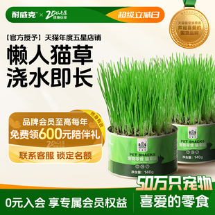 耐威克猫草种子水培猫薄荷零食罐头除毛球盆栽已种好猫咪用品 3罐