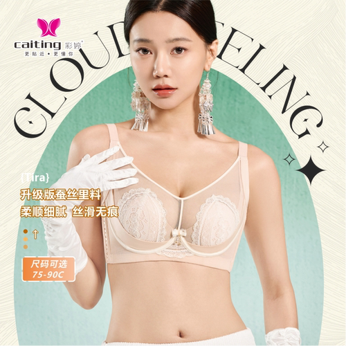 彩婷蕾丝文胸女聚拢调整型透气软钢圈大胸显小收副乳内衣CD杯6559
