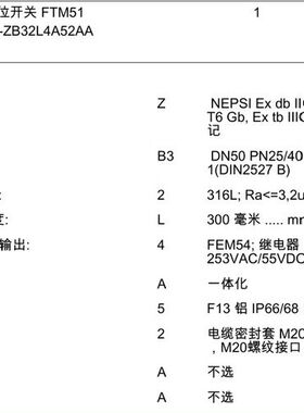 E+H FTM51-ZB32L4A52AA 音叉料位开关，总议价