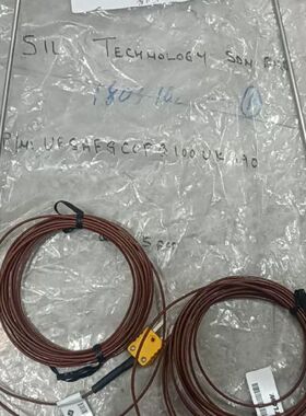 全新WATLOW瓦特隆热电偶AFGC0FQ100UK120，议价