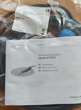 E+H 浮球液位计 FTS20 AC/DC PP/ 5议价