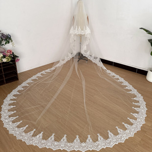 新娘结婚婚礼写真米色韩国高清硬纱欧式刺绣车骨蕾丝复古拍照头纱