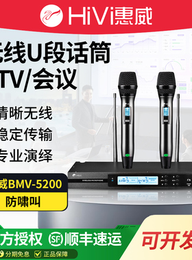 惠威 BMV5200无线麦克风一拖二家用K歌会议专用手持话筒U段防啸叫