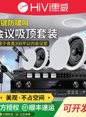 惠威吸顶会议音箱套装中小型