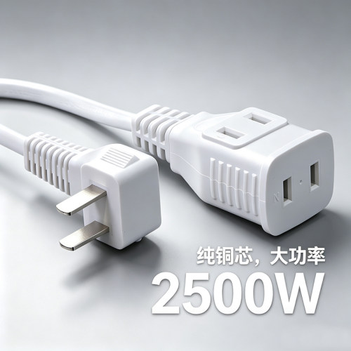 1平铜芯一转二大功率电源线2500W