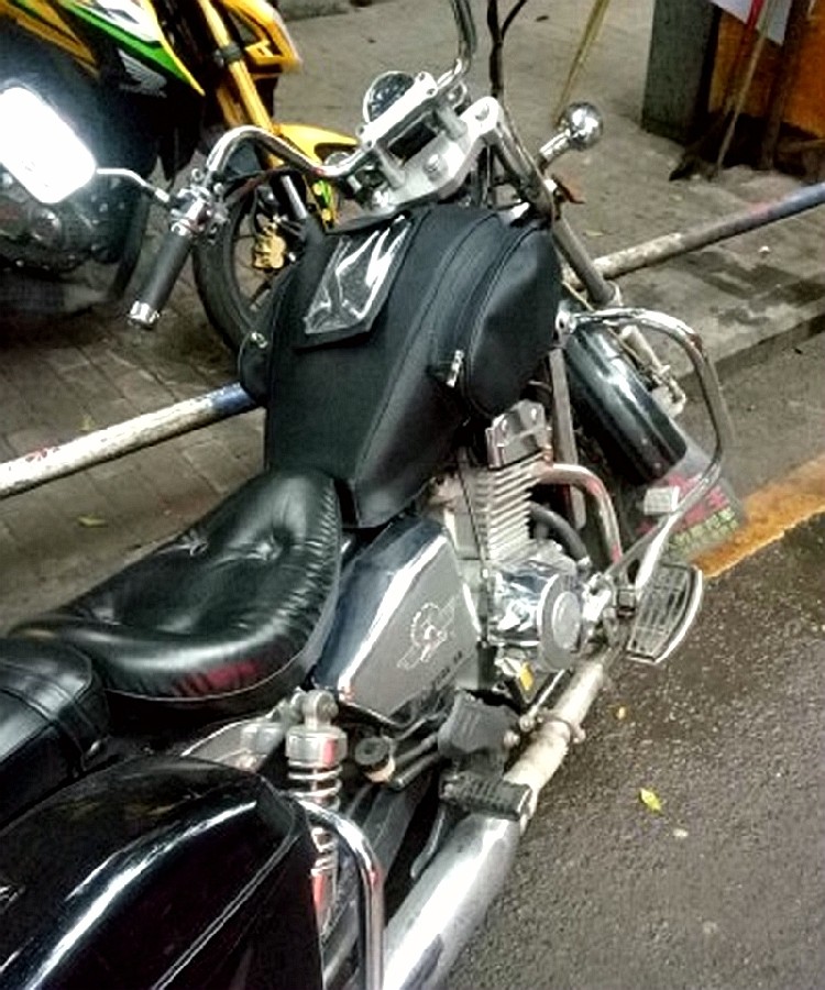 大地鹰王dd250e-9a摩托车油箱套防水油箱包