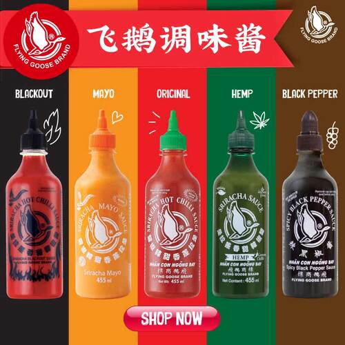 泰国进口飞鹅牌调味酱料