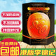 李锦记 港版 原味XO酱 火锅蘸料 金冠卖家 东方鱼子酱 80g