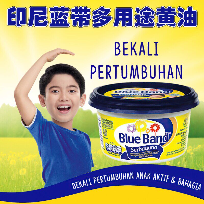印尼BlueBand蓝带多用途植物黄油230g盒装常温牛油烘焙原料煎牛扒