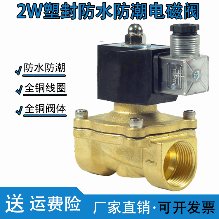 室外防水防雾防潮电磁阀水阀开关阀220VDC24V气阀排水DC12V4分6分