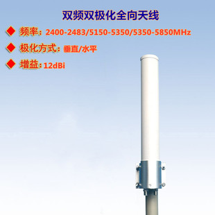 2.4G和5G 无线AP 双频双极化全向天线 可定制 12dBi无线网桥