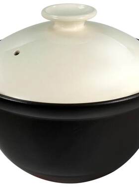 日本进口煲汤锅汤锅耐高温陶瓷家用炖锅5L