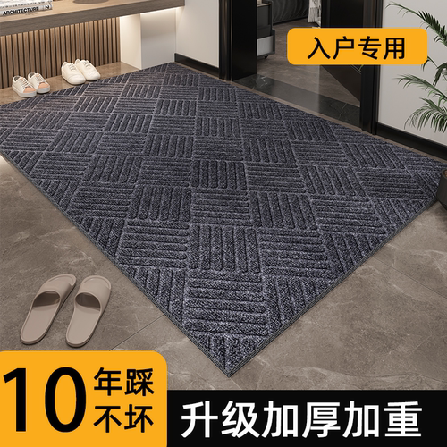高级感入户地垫可擦免洗