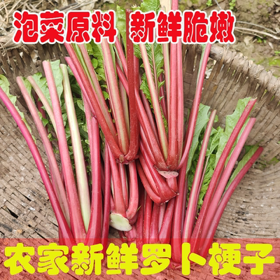 重庆四川农家应季蔬菜新鲜红萝卜梗水萝卜叶梗子红皮萝卜泡菜杆子