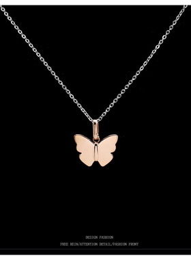 简约立体蝴蝶项链女夏季2024新款爆款高级感锁骨链轻奢小众吊坠配