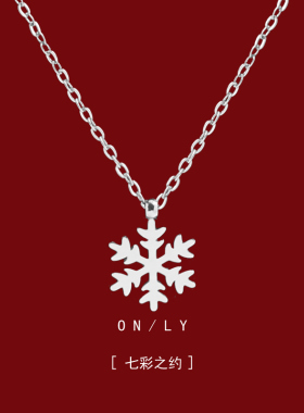 雪花吊坠项链女款轻奢小众气质配饰颈链2024新款简约高级感锁骨链