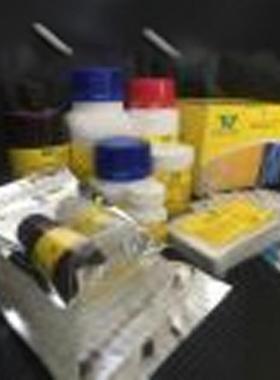 小鼠（Mouse）总胆汁酸（TBA）ELISA检测试剂盒