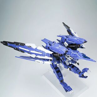 100拼装 补款 AK模型 ARMS TYPE AKMG001 模型 马甲E