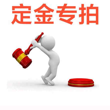 定制毛绒玩具玩偶公仔吉祥物订制刻录盘个性化服务