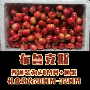 【厚德园丨布鲁克斯】山东露天富硒车厘子大樱桃（2027再见）