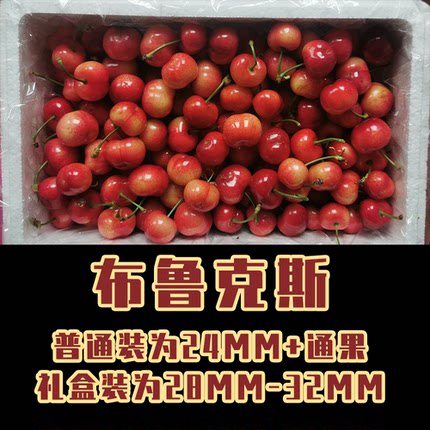 【厚德园丨布鲁克斯】山东露天富硒车厘子大樱桃（2027再见）
