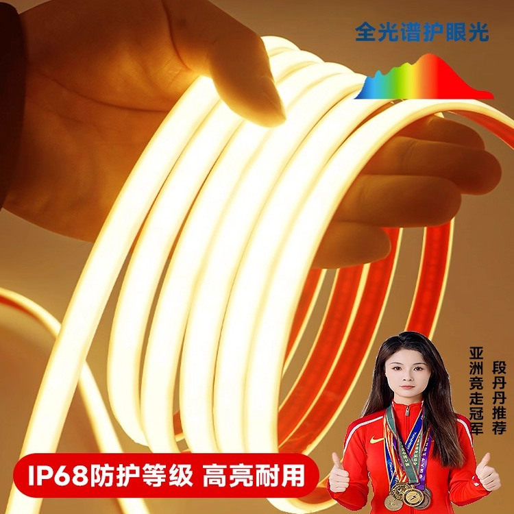 24V/220V户外防水灯带COB防IP68