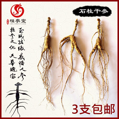 宽甸石柱参林下参生晒参泡酒