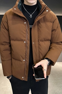 @店主风-定制面料2024新款白鸭绒工装拼接立领羽绒服男78901-P185图片