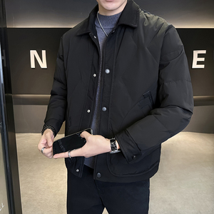 @标  2025新款外套羽绒服设计高级感男立领外套1061-P150图片
