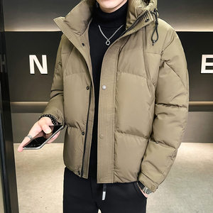 @新标 有报告 白鸭绒连帽羽绒服潮流男外套YR886-P220图片