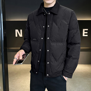 @标 2025秋冬新款立领工装羽绒服潮流男外套1069-P145图片