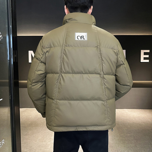 @店主风-大免洗皮面料冬白鸭绒立领羽绒服潮流男8622-P160图片