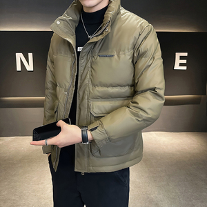 @店主风-大免洗皮面料冬立领羽绒服潮流男8622-特P100，男装羽绒服，电商D246