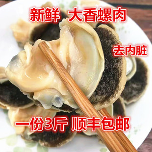 新鲜香螺肉海螺肉冰冻玉螺肉冻香螺肉冻海螺贝类一份3斤包邮顺丰